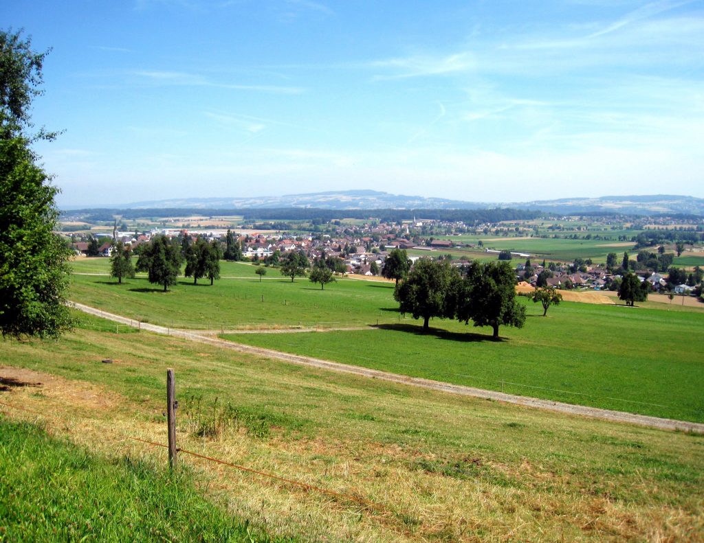 Regionales Raumkonzept 2040 Oberes Freiamt