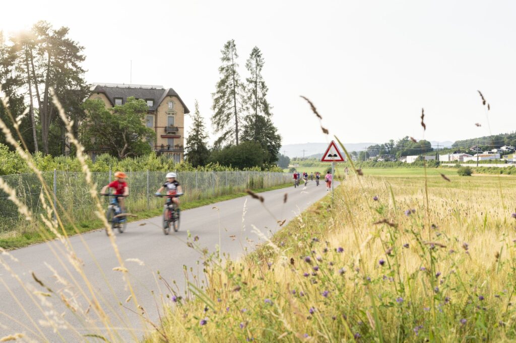 Des enfants à vélo traversent la campagne sur un chemin asphalté